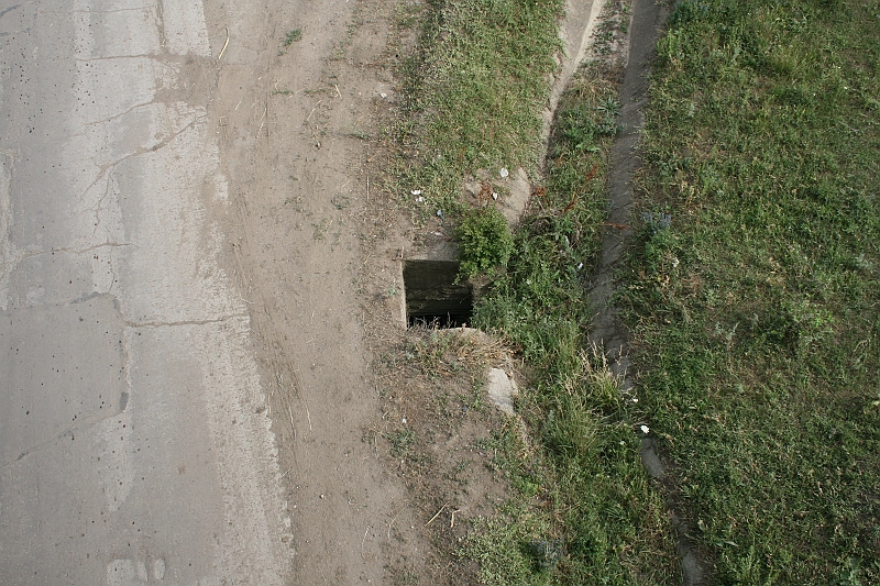 Original image